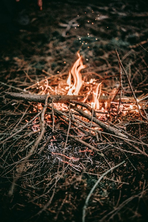 Brennendes Holz im Wald © Unsplash