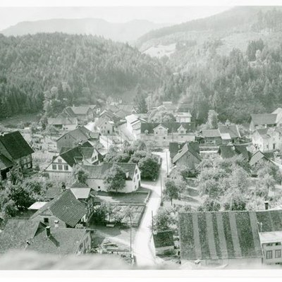 Blick vom Liebfrauenberg in Rankweil, 1938 – damals gab es noch einen großen Bestand an Nutzbäumen. Im selben Jahr fand die erstmalige Zählung der Bäume statt. © Gemeindearchiv Rankweil
