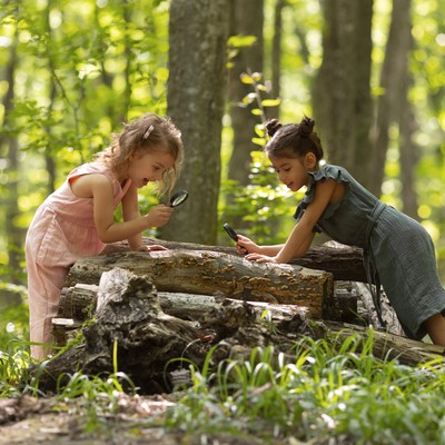 Pädagogische Fachkraft für Waldkindergarten